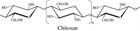 Chitosan_chain_450_100